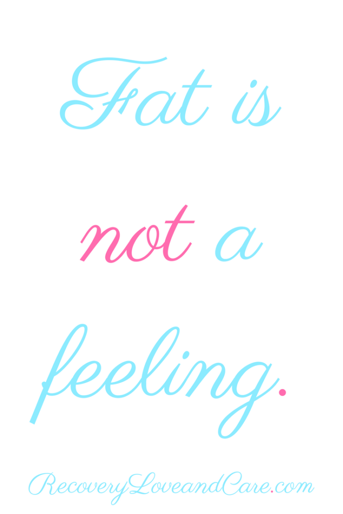 Fat Is Not a Feeling!!